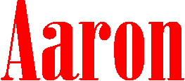 Noir Dsir