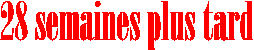 Noir Dsir